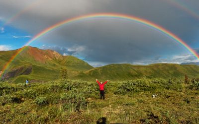 The Lovely, Colorful Rainbow