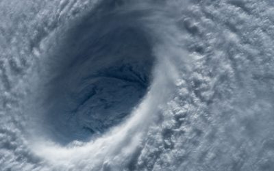 The Intense Typhoon.  No Friend of Mine.