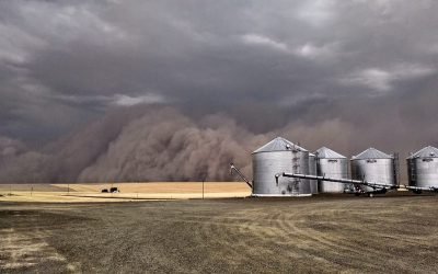 Sandstorms!  Head for Cover!