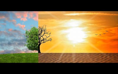 Climate Change – What Do We Know Till Now?