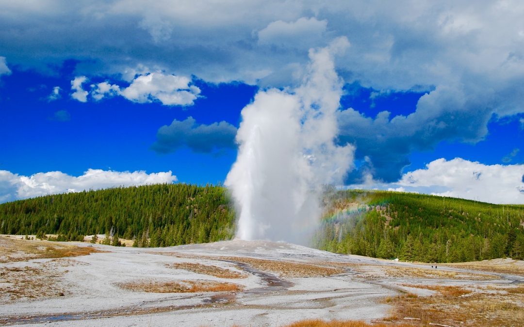 Geysers WeatherEgg®